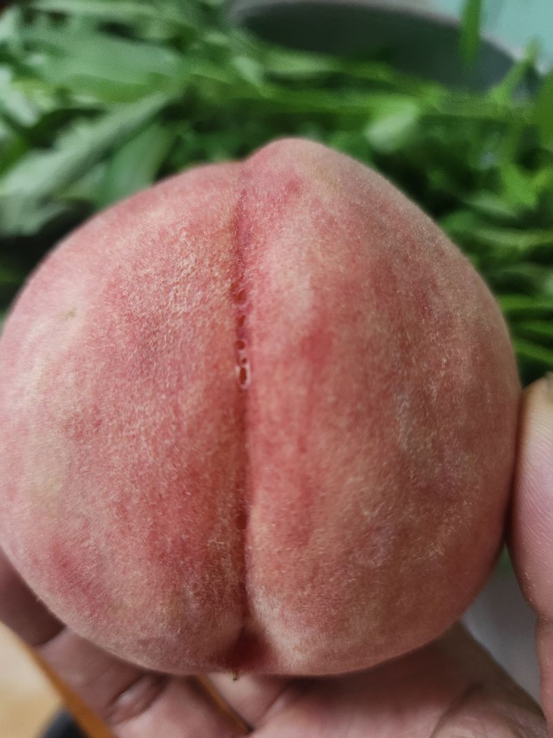 김희진님의 장터 구매 후기 썸네일