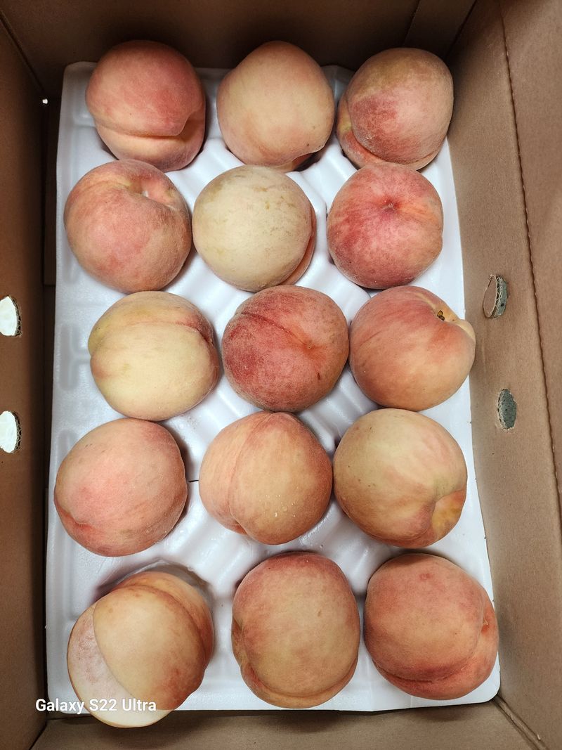 이순영님의 장터 구매 후기 썸네일