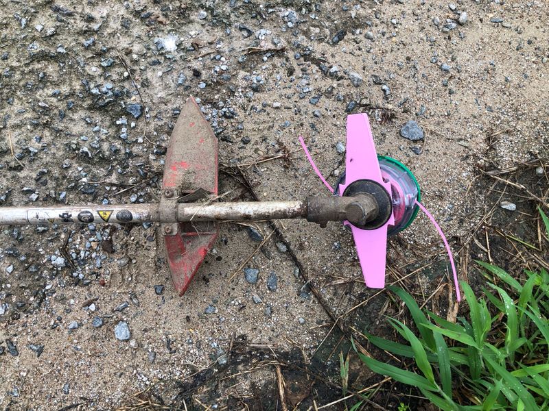 양병구님의 장터 구매 후기 썸네일