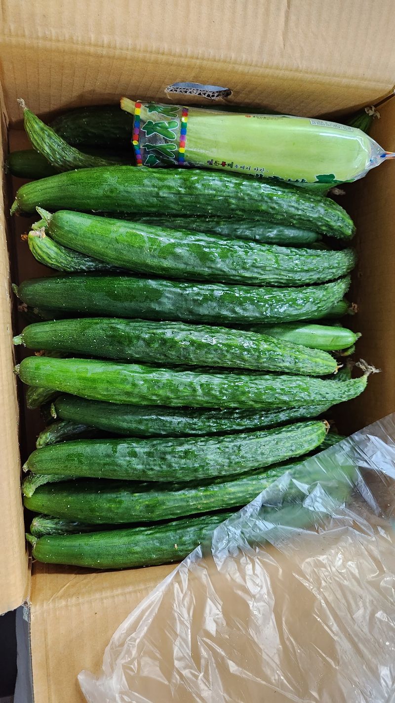 김소환님의 장터 구매 후기 썸네일