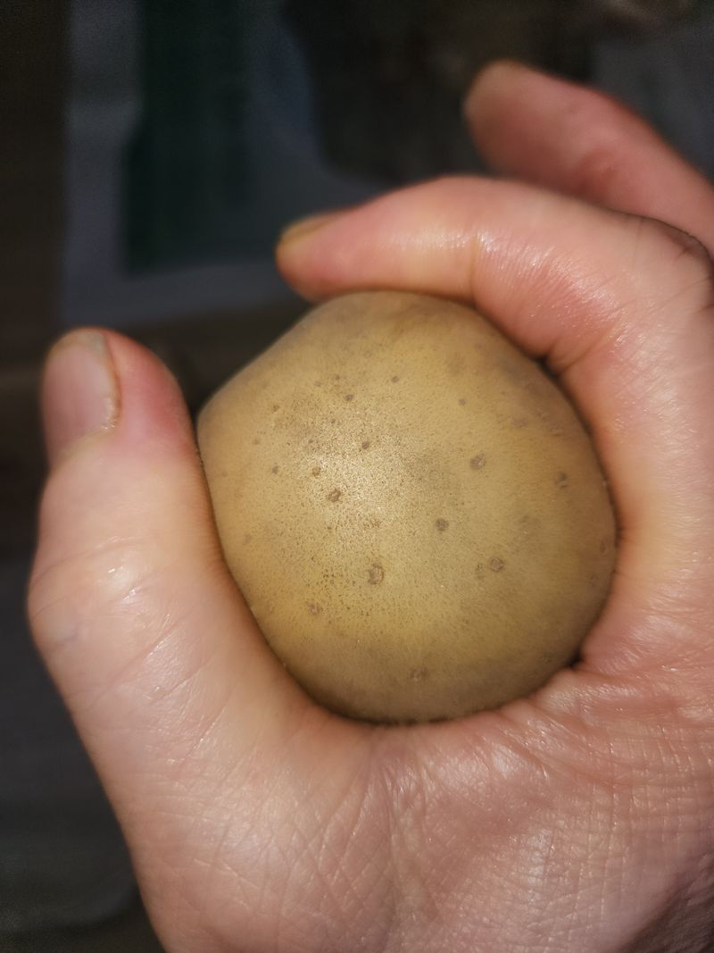 달콤한메론님의 장터 구매 후기 썸네일