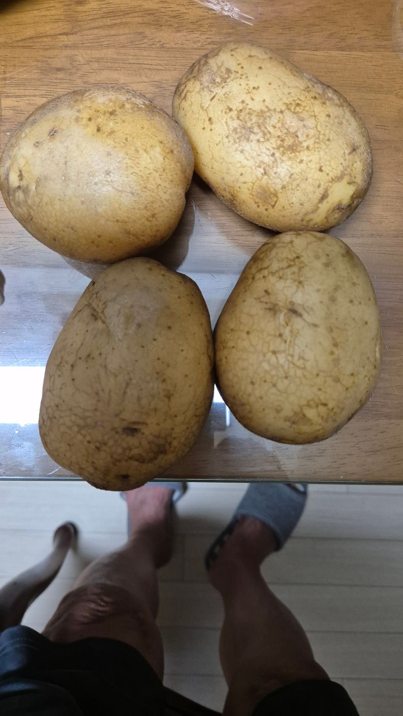 이장복님의 장터 구매 후기 썸네일