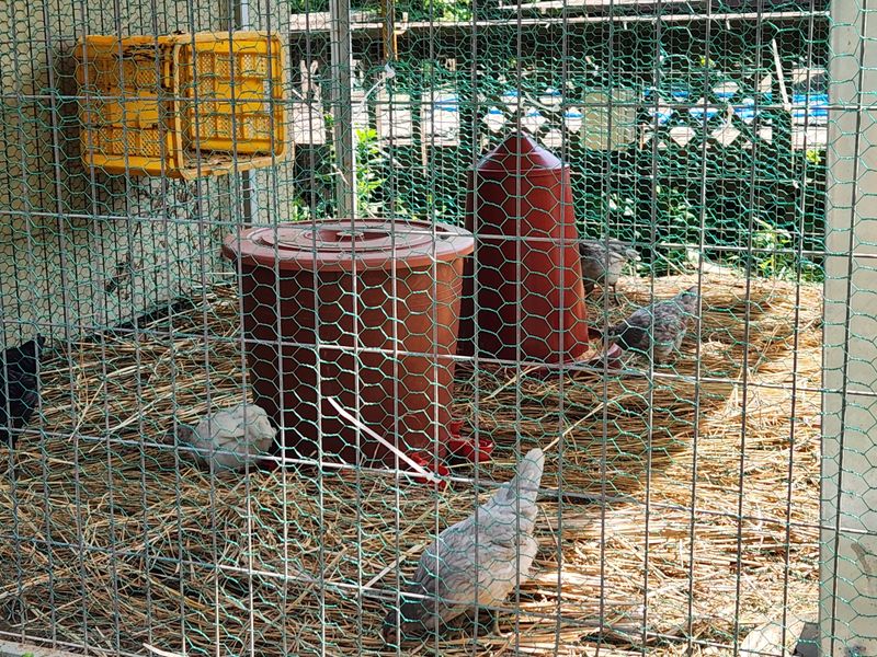 딸기12896님의 장터 구매 후기 썸네일