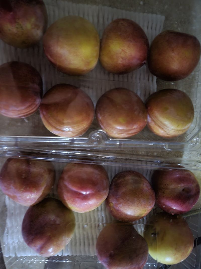 박순례님의 장터 구매 후기 썸네일