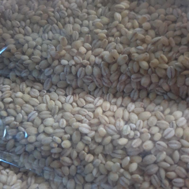 전명우님의 장터 구매 후기 썸네일