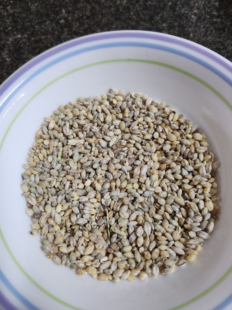 김포맘님의 장터 구매 후기 썸네일