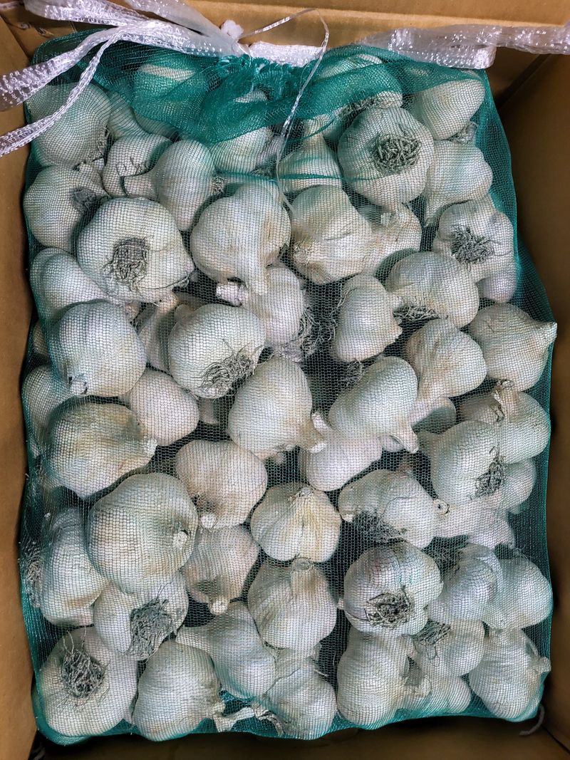 초보농 유경님의 장터 구매 후기 썸네일