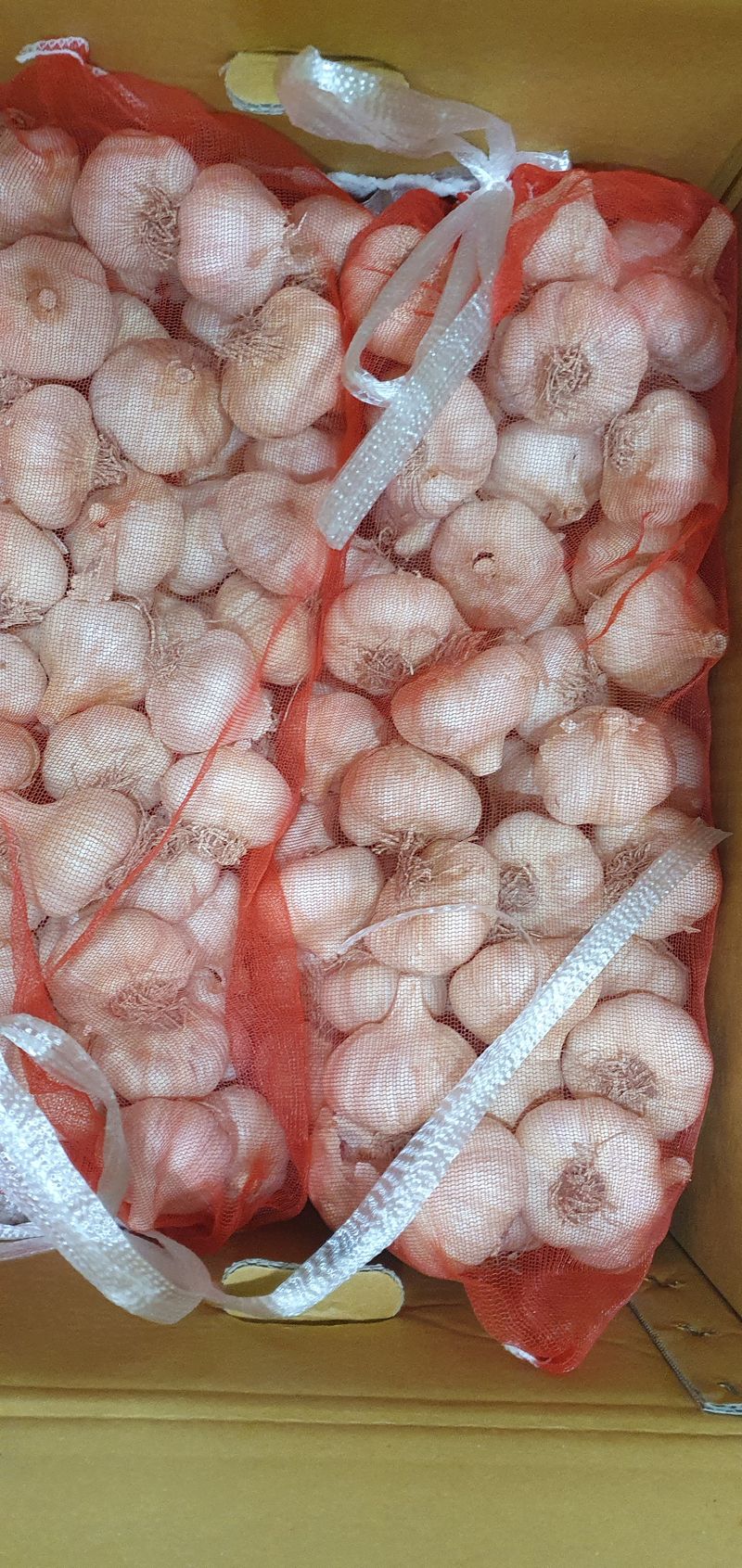 그린필드님의 장터 구매 후기 썸네일