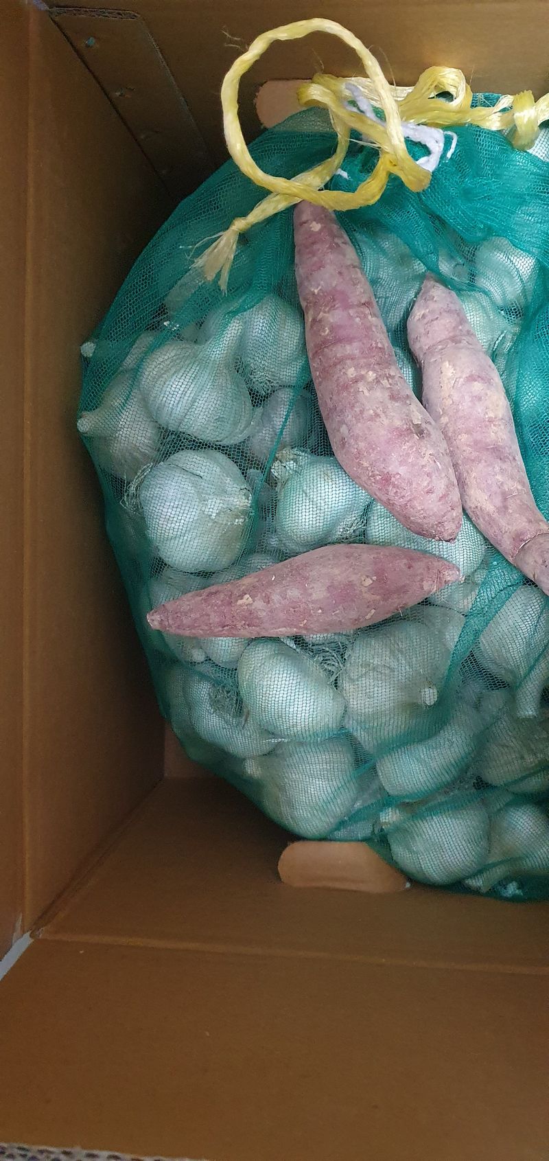 그린필드님의 장터 구매 후기 썸네일