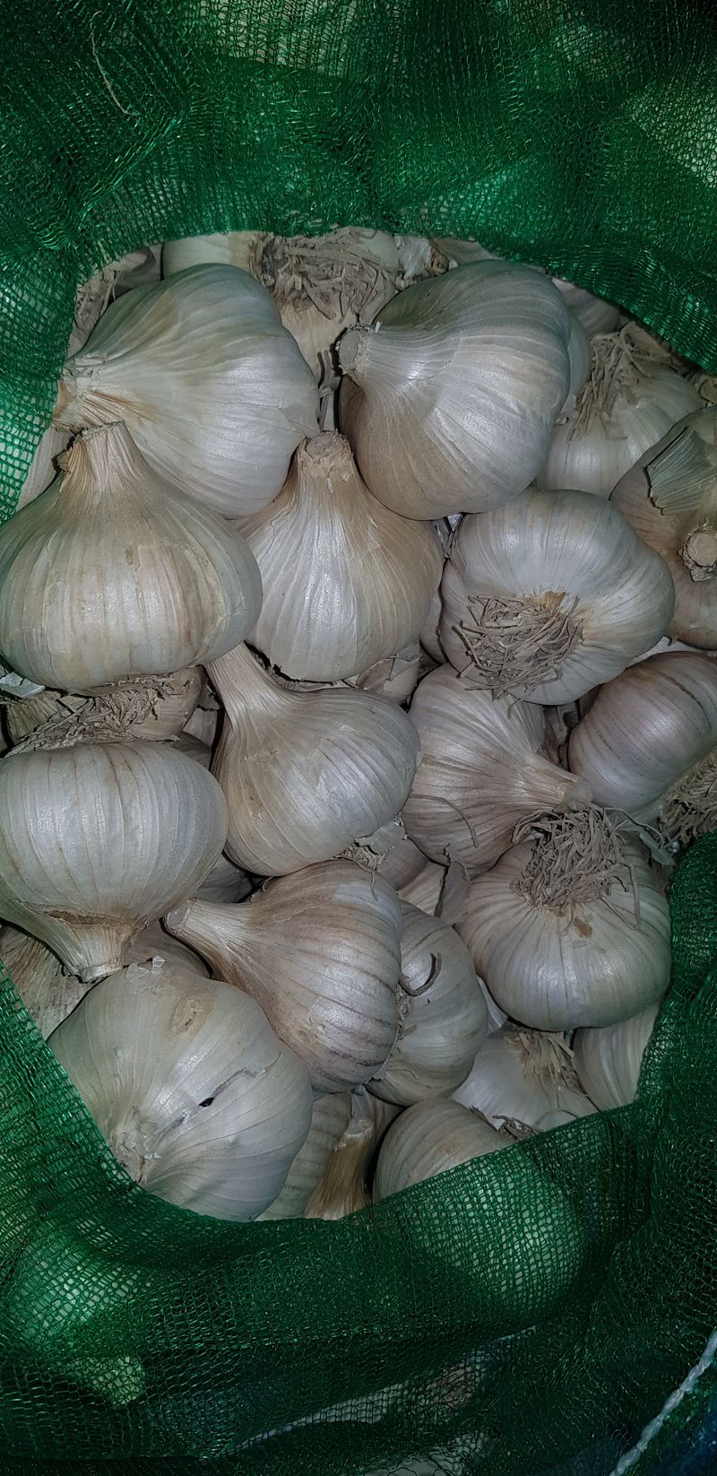 자연으로님의 장터 구매 후기 썸네일