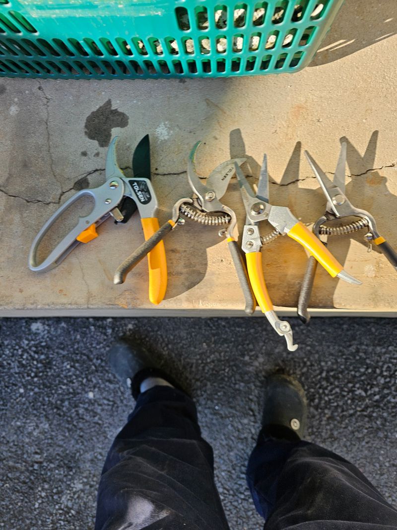 명암골농원 김인소님의 장터 구매 후기 썸네일