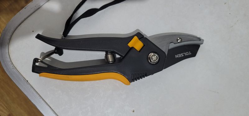 최도경님의 장터 구매 후기 썸네일