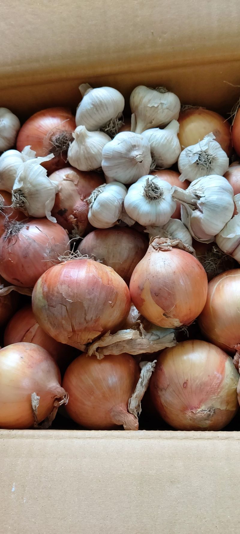 성낙신 님의 장터 구매 후기 썸네일