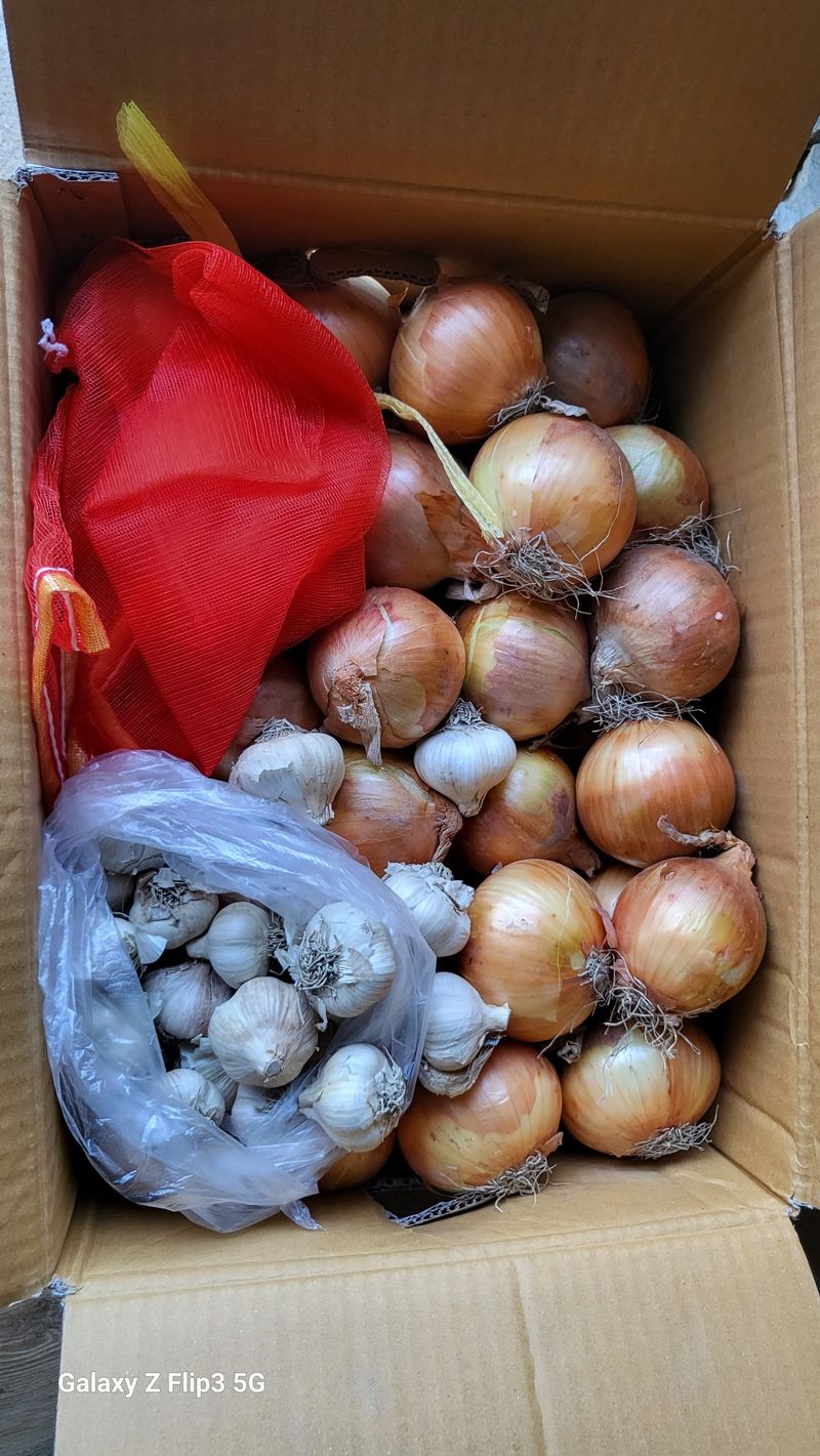 이미경님의 장터 구매 후기 썸네일