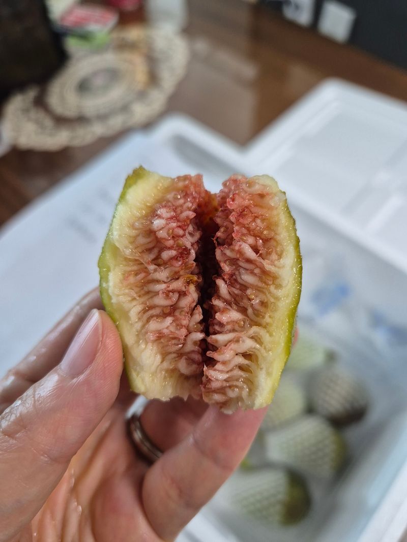 박서영님의 장터 구매 후기 썸네일