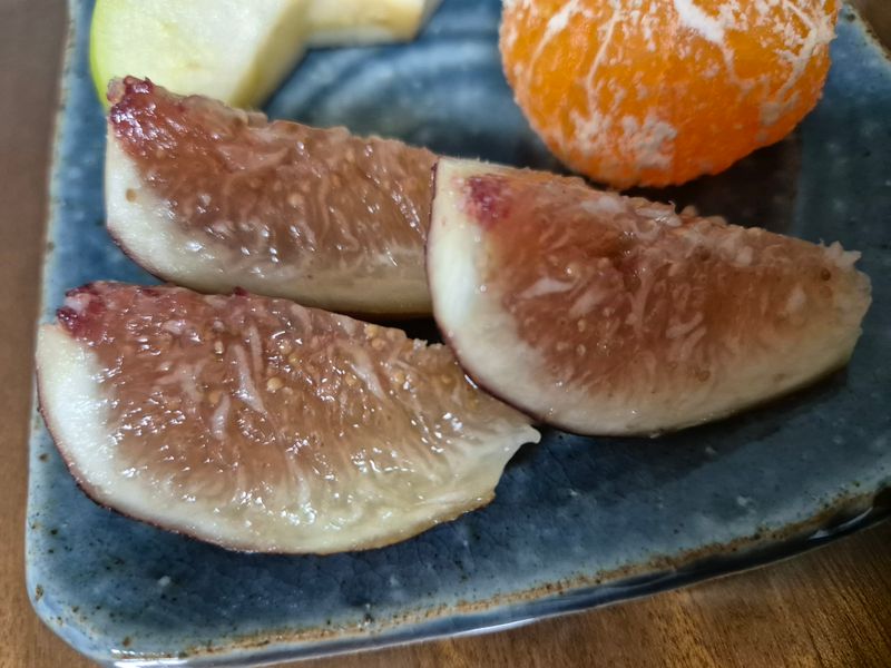 박서영님의 장터 구매 후기 썸네일