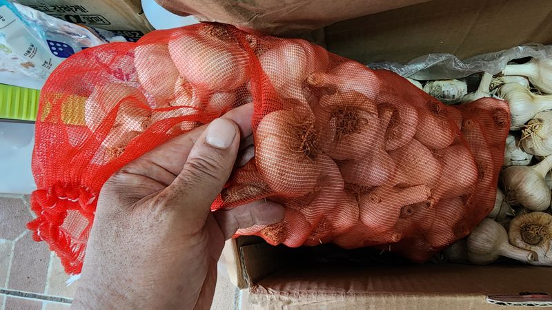 깡토끼님의 장터 구매 후기 썸네일