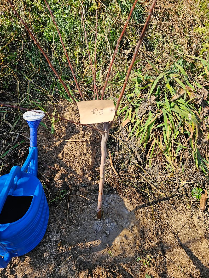 한준호 님의 장터 구매 후기 썸네일