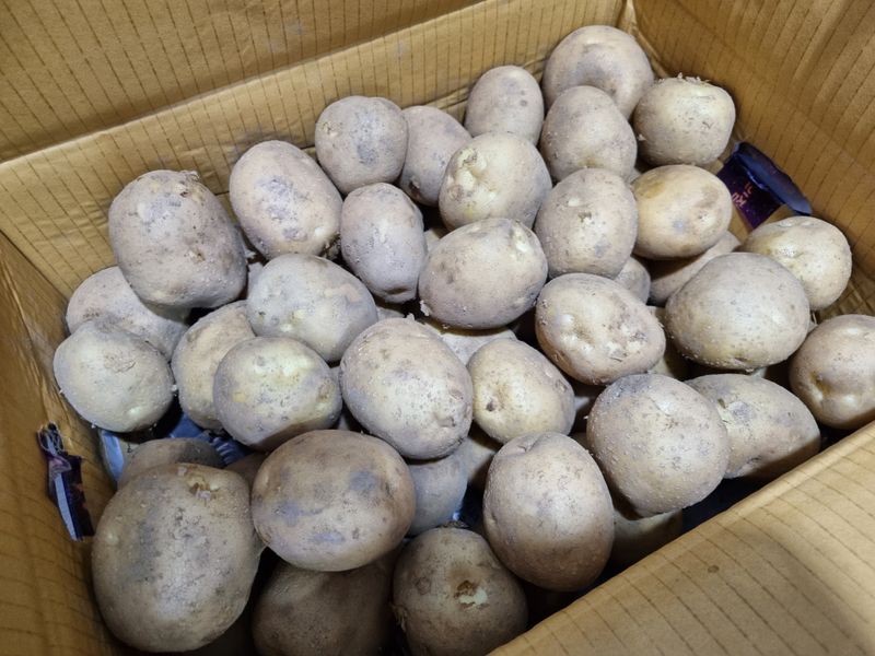 김경연님의 장터 구매 후기 썸네일