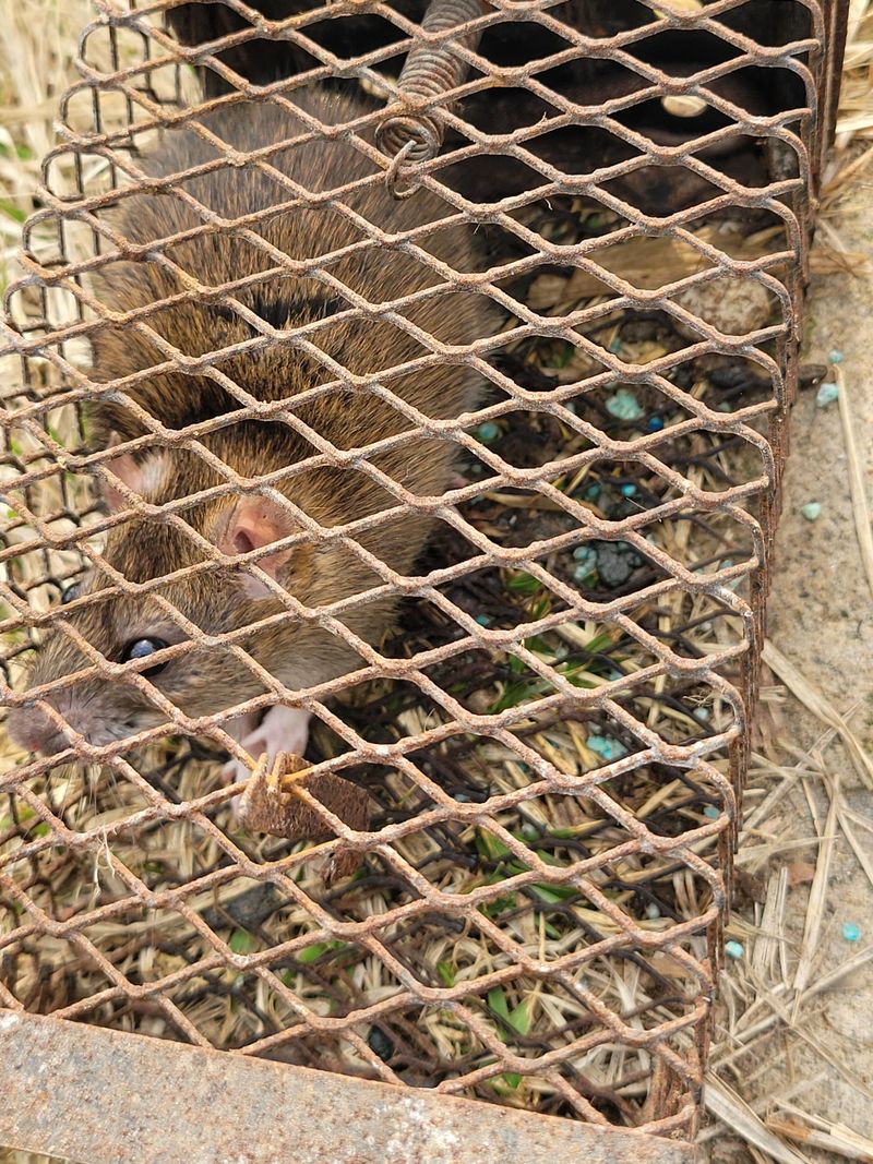 이의도님의 장터 구매 후기 썸네일