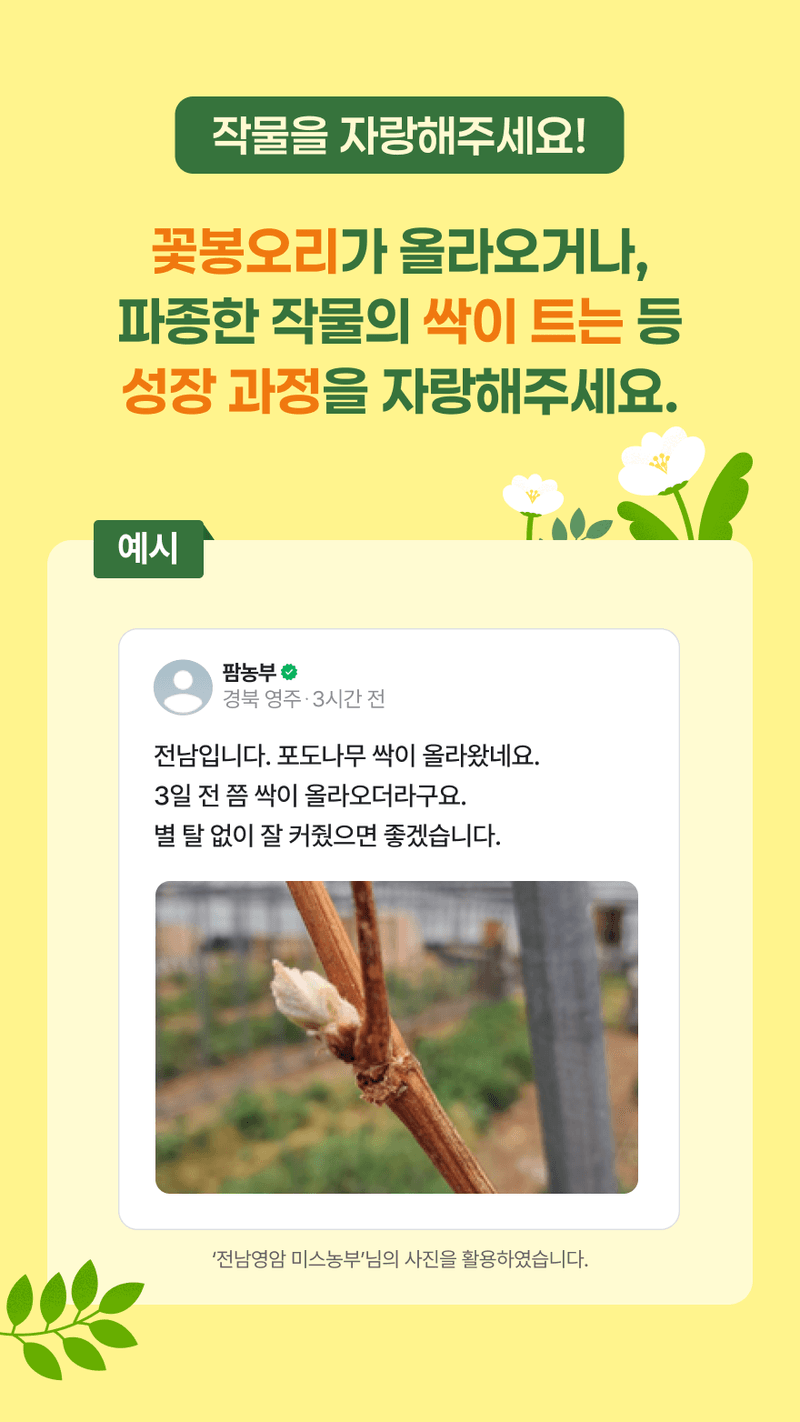 🌱내 작물 자랑하기! 소개