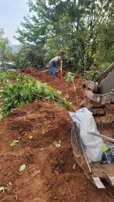 팜모닝 기타작물·병해충상담 게시글 이미지