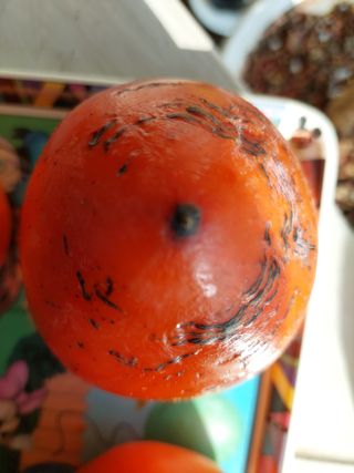 참깨7881님의 감 · 병해충상담 작성글 사진