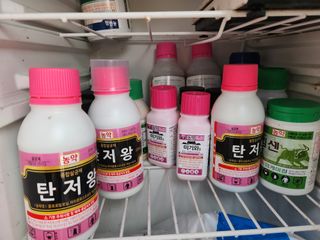 알 수 없음님의 사과 · 병해충상담 작성글 사진