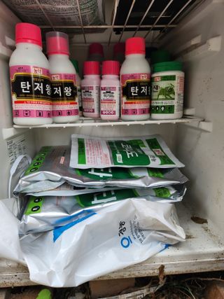 알 수 없음님의 사과 · 병해충상담 작성글 사진