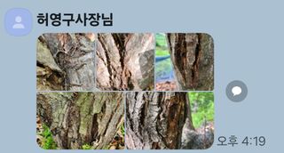 이기정님의 기타작물 · 병해충상담 작성글 사진