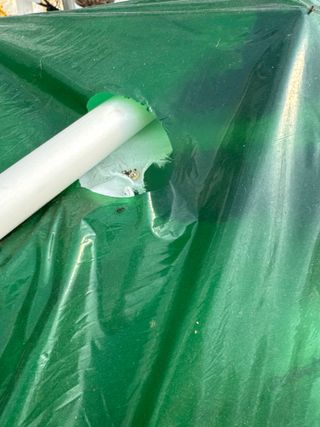 ^^님의 딸기 · 병해충상담 작성글 사진