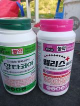 팜모닝 자두·병해충상담 게시글 이미지