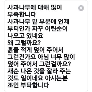 인생은 소풍처럼님의 사과 · 병해충상담 작성글 사진
