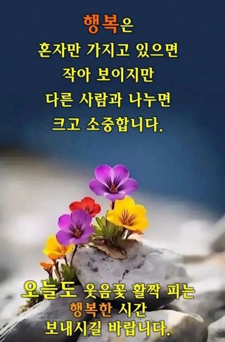 전진규.해돋이님의 고추 · 병해충상담 작성글 사진