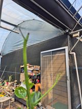 팜모닝 기타작물·병해충상담 게시글 이미지