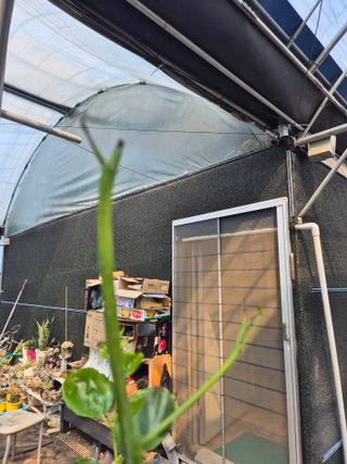 이문규님의 기타작물 · 병해충상담 작성글 사진