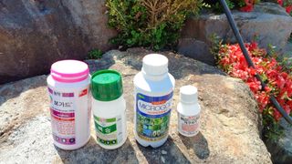 이순기님의 감 · 병해충상담 작성글 사진