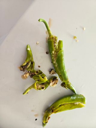 농막쥔님의 고추 · 병해충상담 작성글 사진