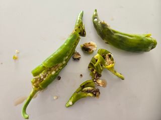 농막쥔님의 고추 · 병해충상담 작성글 사진