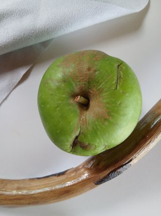 오짱님의 사과 · 병해충상담 작성글 사진