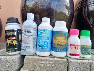 전진규.해돋이님의 고추 · 병해충상담 작성글 사진