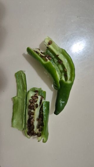 안중찬님의 고추 · 병해충상담 작성글 사진