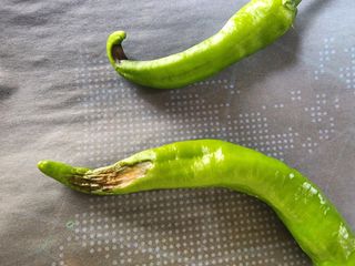 구자형님의 고추 · 병해충상담 작성글 사진