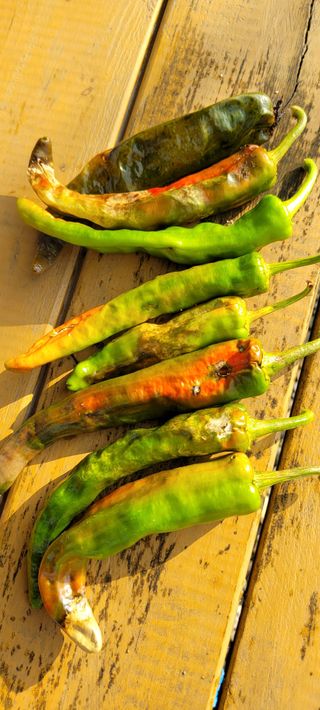 저달이님의 고추 · 병해충상담 작성글 사진