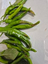 팜모닝 고추·병해충상담 게시글 이미지