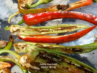 전진규.해돋이님의 고추 · 병해충상담 작성글 사진