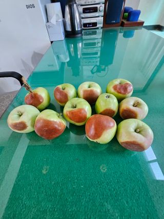 이강근 님의 사과 · 병해충상담 작성글 사진