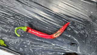 맹호님의 고추 · 병해충상담 작성글 사진