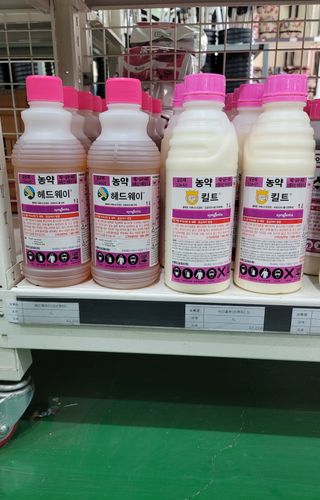 권리를위한투쟁님의 벼 · 병해충상담 작성글 사진