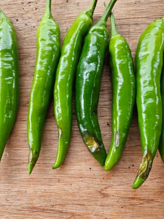 박경옥님의 고추 · 병해충상담 작성글 사진